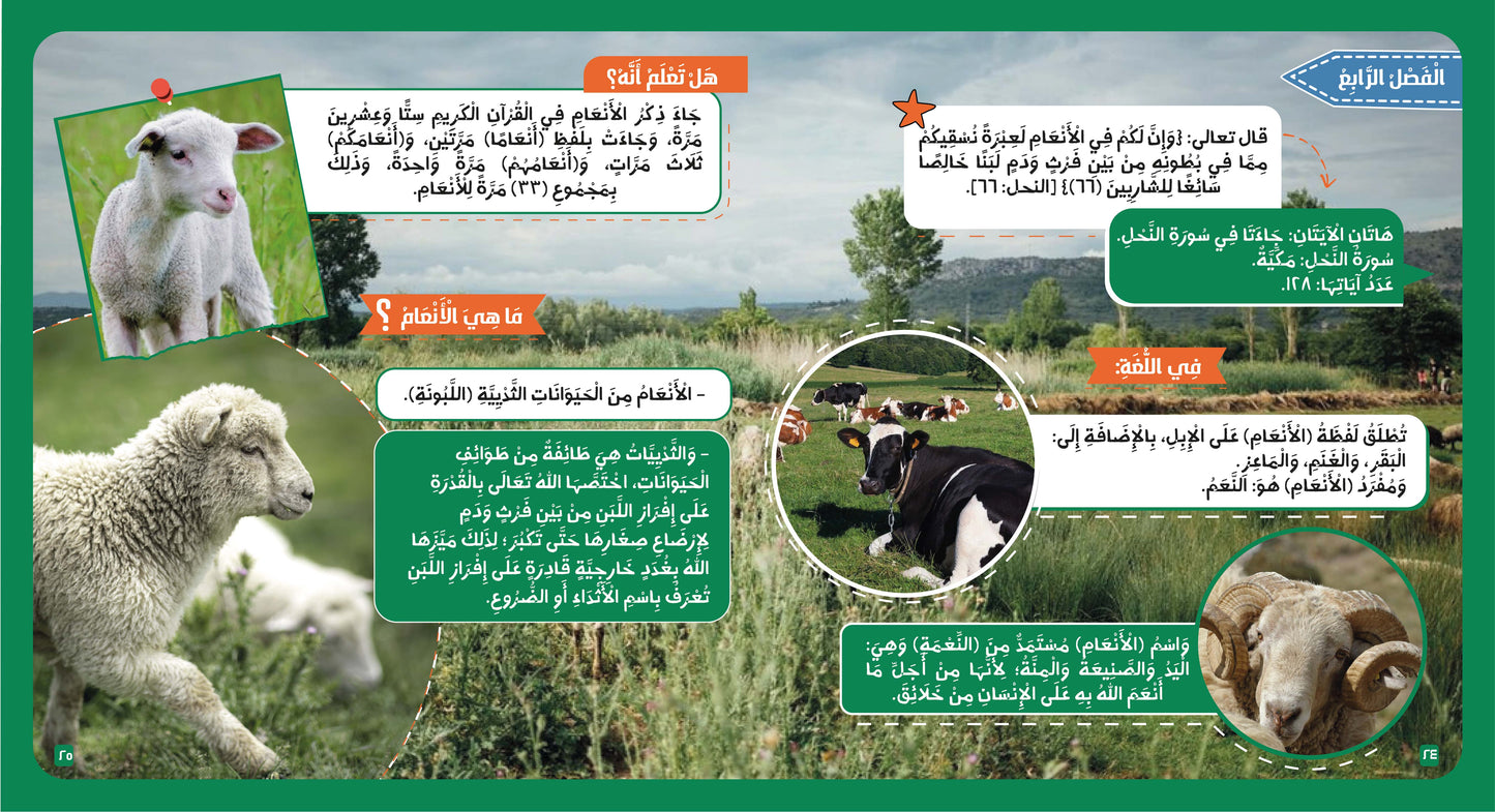 الحيوان في القرآن الكريم