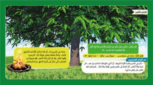 النبات في القرآن الكريم
