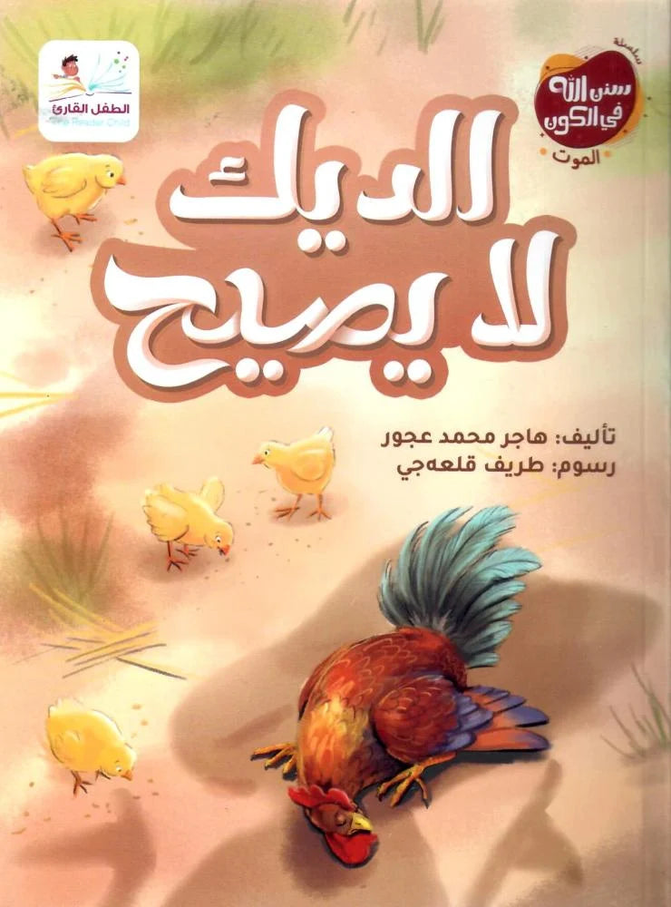 الديك لا يصيح